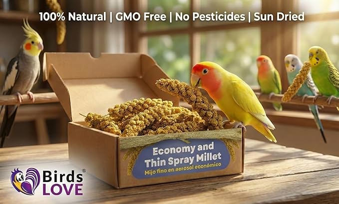 Birds LOVE Millet Tips & Tails for Birds - Parakeets, Cockatiels, Lovebirds, Finches, Budgies, Canaries, Cockatoos - Natural & Healthy Millet for Birds - Parakeet Food & Treats for All Parrots, 1lb