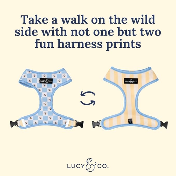 Lucy & Co. Bumbling Around Reversible Dog Harness, Adjustable Comfort Fit with Dual Leash Attachments, Small
