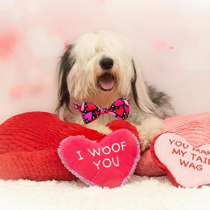 Valentine’s Day Dog Collar Adjustable Puppy Collar with Red & Pink Heart Pattern, Cute Pet Accessories for Small Medium Large Dogs
