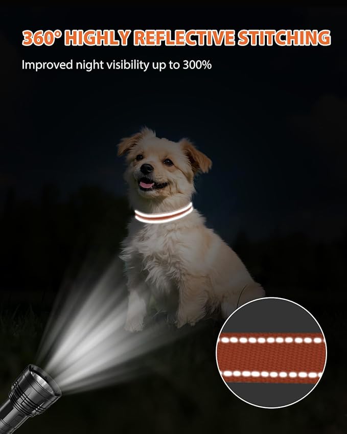 Joytale Small Dog Collar, Reflective and Adjustable Nylon Collar with Quick-Release Buckle, Lightweight No-Choke Design for Small Dogs, Orange, 3/4" Width