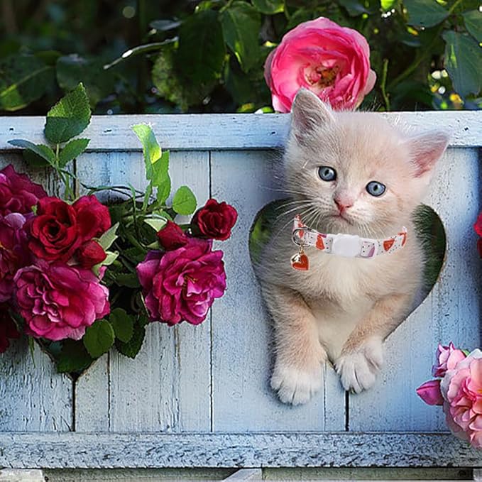 Lionet Paws 2pcs Pack Valentine's Day Cotton Cat Collar,White Breakaway Buckle with Colorful Pink Heart Cute Adjustable Cat Kitten Collar,Ideal for Girl Cats
