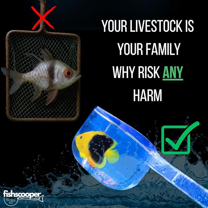 Fish Scooper, Acclimation Container, Fish Trap, Floating Fish Net, Axolotl Tank Accessories, Aquarium Cleaning Tools, Photography, Tool, Aquarium Accessories, Breeder Box