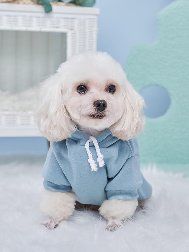QWINEE Basic Dog Hoodie Sweatshirt Puppy Sweater Warm Cat Costumes Pet Clothes for Chihuahua Puppy Kitten Small Medium Dogs Black Green and Grey X-Large