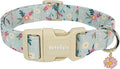 Cotton Dog Collar, Blue Dog Collar with Flowers Pattern for Spring Summer Design, Adjustable Puppy Dog Collars, Cute Girl or Boy Dog Collar Ideal for Gifts,Pet Accessory,S