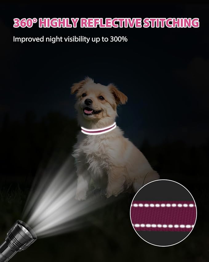 Joytale Small Dog Collar, Reflective and Adjustable Nylon Collar with Quick-Release Buckle, Lightweight No-Choke Design for Small Dogs, Hotpink, 3/4" Width
