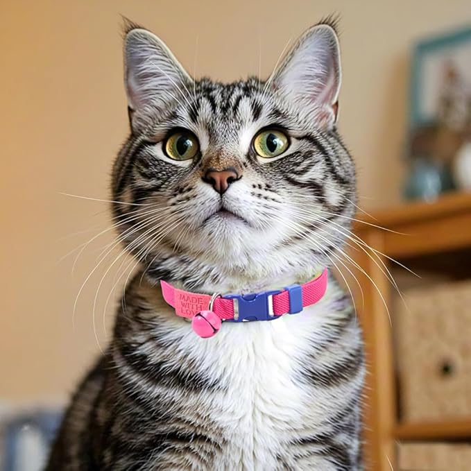 Elastic Cat Collar 2 Pack of Safety Quick Release Cat Collars with Bell Anti-Suffocation Kitten Puppy Collars(Yellow+Hot Pink)