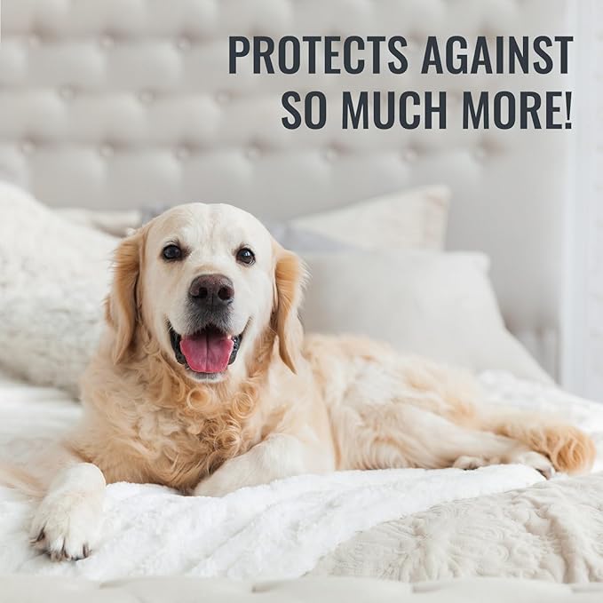 DMI Waterproof Mattress Protector, Mattress Pad, Waterproof Mattress Cover, Bed Pad and Bed Cover, Encased Zippered Fit, Queen (Pack of 1), White