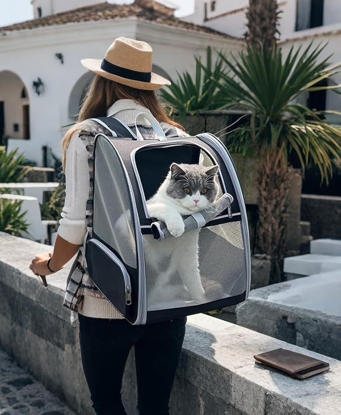 Cat Backpack Dog Backpack Carrier for Small Dogs and Medium Cat up to 15lbs, Travel Pet Carrier for Puppy Kitten Bunny, Cat Dog Carrying Backpack Collapsible (Black)