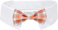 Segarty Dog Tuxedo Collar for Neck Girth 16.5-21.2in, Bow Tie Collar Black Bowtie with Handcrafted Adjustable White Collar Formal Pet Cats Neckties for Medium Large Boy Dog Wedding Grooming Birthday