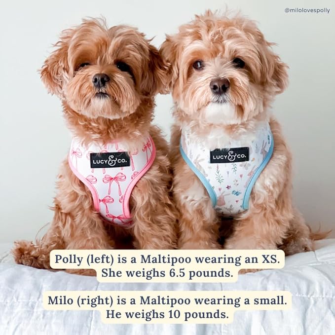 Lucy & Co. Cute Reversible Dog Harness Walking Halter - Best Designer Pet Harnesses for XS - XL Dogs - Padded Adjustable Vest for Easy Walking (X-Small, Ballet Bows - White & Pink Bows)