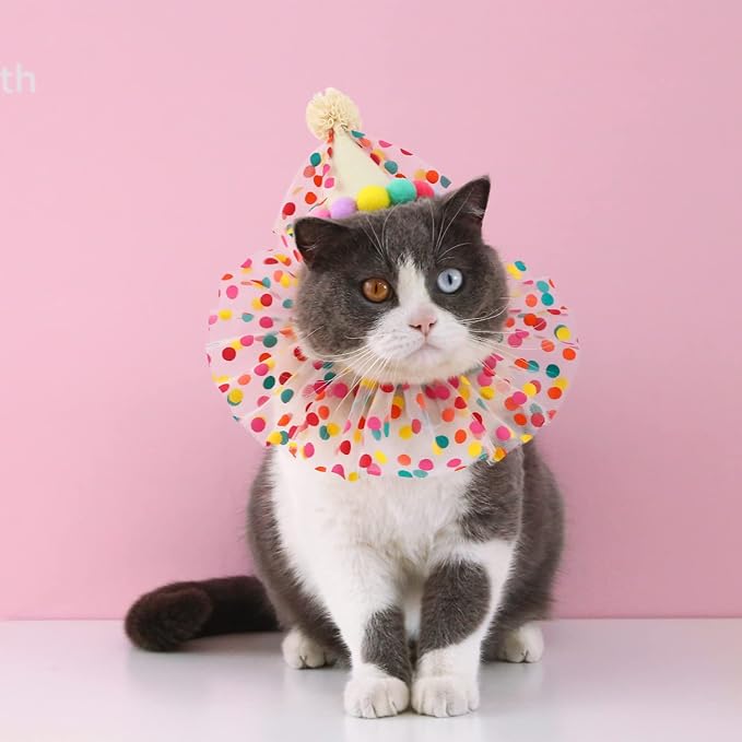 Cat Dog Princess Costumes Puppy Cat Birthday Bandana Scarf and Party Hat Cute Lace Dog Bib Scarf and Christmas Hat Doggy Birthday Party Decorations Set