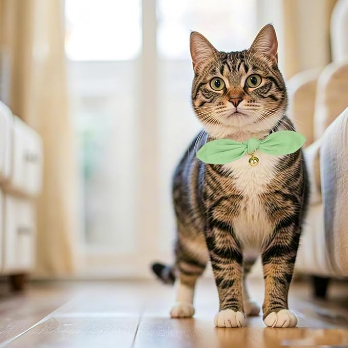 Bunny Ear Cat Collar with Bell and Bow Tie, Breakaway Cute Bowtie Kitten Collars(Grass Green)