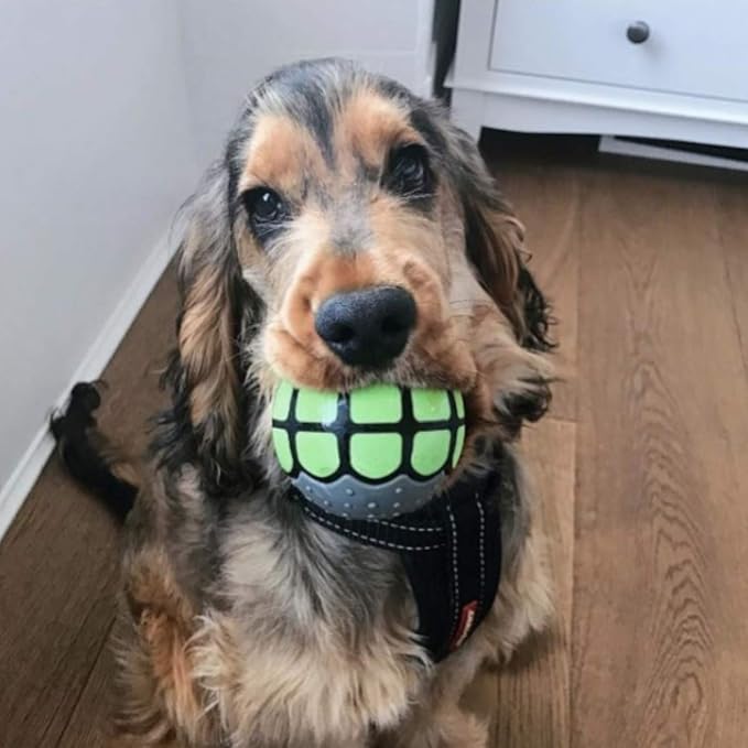 Dog Balls Toys Squeaky Fetch - Rubber Funny Ball Gifts for Large Medium Dogs (Variety Pack)
