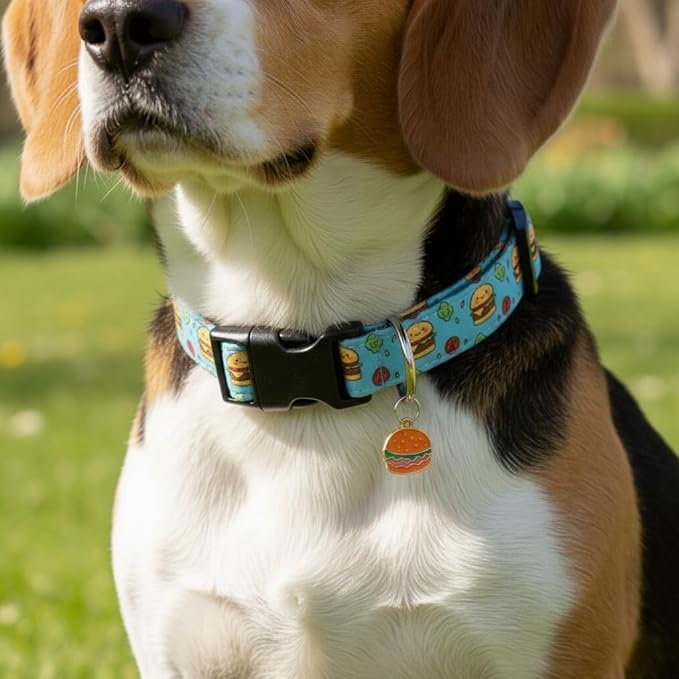 Cute Dog Collar, Blue Dog Collar with Burger Pattern and Cute Charm, Puppy Collar with Quick Release Buckle and Durable Fabric, Suitable for Medium and Large Dogs