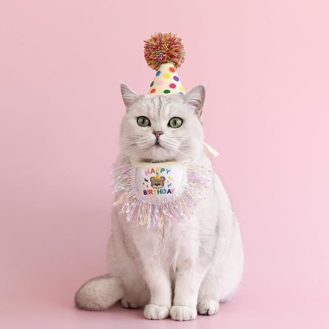 Cat Birthday Bandana Scarf and Party Hat Cute Tassels Bib Scarf and Birthday Hat Cat Birthday Party Decorations Set