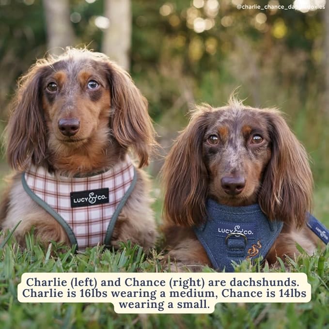 Lucy & Co. Cute Reversible Dog Harness Walking Halter - Best Designer Pet Harnesses for XS - XL Dogs - Padded Adjustable Vest for Easy Walking-Medium-Green Outdoor Plaid
