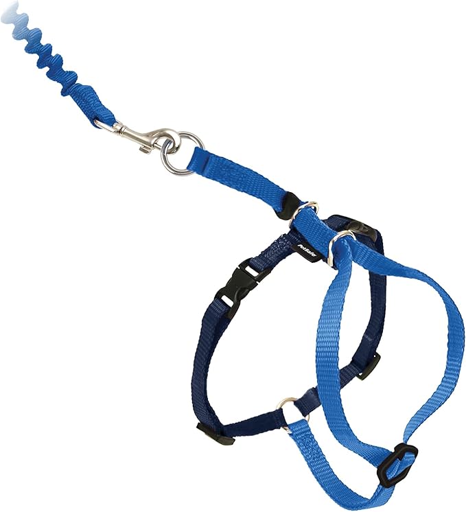 PetSafe Come with Me Kitty Cat Harness & Bungee Leash - Comfortable Cat Harness with Lightweight Bungee Leash for Outdoor Fun - More Secure Walks - Large - Royal Blue