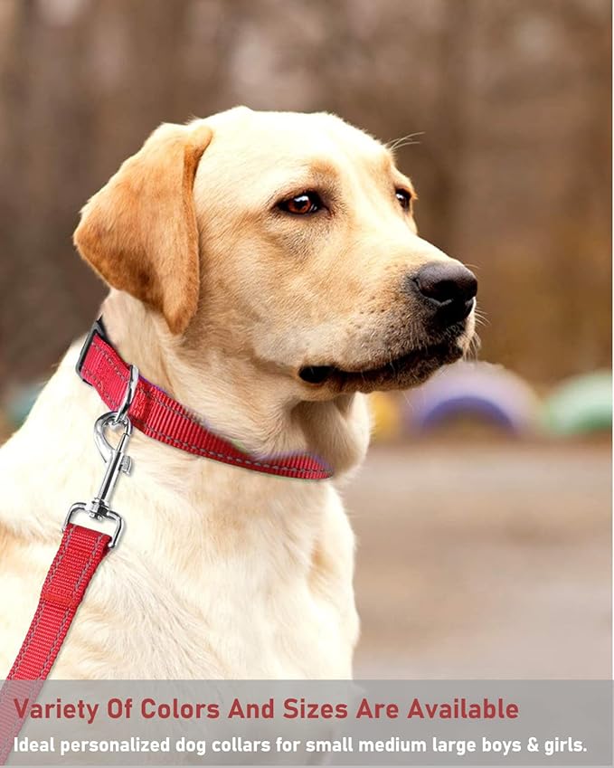 Reflective Dog Collar with Buckle Adjustable Safety Nylon Collars for Small Medium Large Dogs, Red L