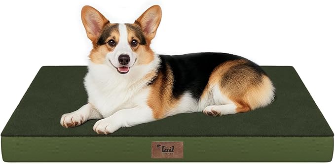 Orthopedic Dog Bed for Large Dogs, Plush Washable Pet Bed for Large Size Dogs with Egg Crate Foam & Removable Oxford Cover, 36x27 Inch, Olive Green