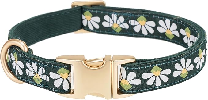 Woven Dog Collar with Metal Buckle Adjustable Jacquard Retro Dog Collars for Small Medium Large Dogs(Green,S)