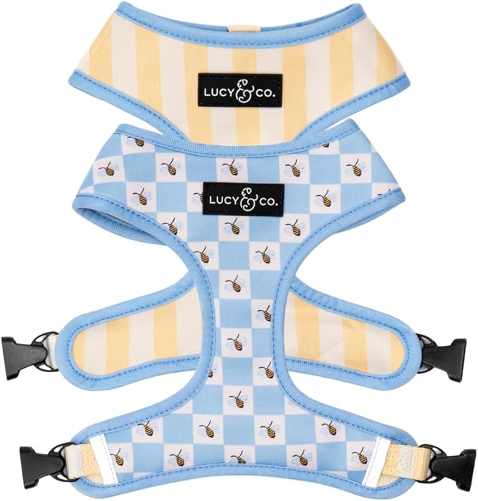 Lucy & Co. Bumbling Around Reversible Dog Harness, Adjustable Comfort Fit with Dual Leash Attachments, Small