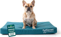 FurHaven Water-Resistant Orthopedic Dog Bed for Medium Dogs, Oxford Polycanvas Mattress with Orthopedic Solid Slab Foam for Joint Support, Removable Washable Cover, Medium, Deep Lagoon