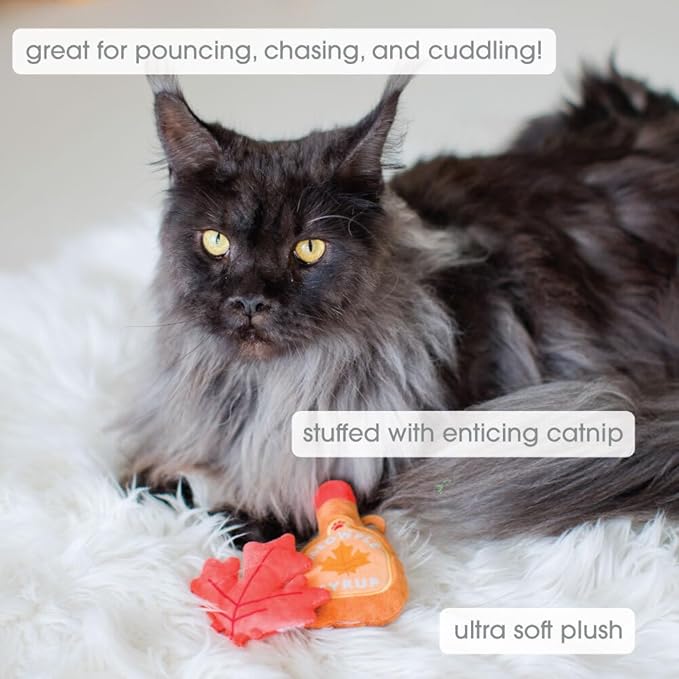 Pearhead Fall Maple Leaf Cat Toy Set – 2-Pack Crinkle and Catnip Teaser Toys for Thanksgiving, Autumn Interactive Play, Kitten Chase Exercise Gift