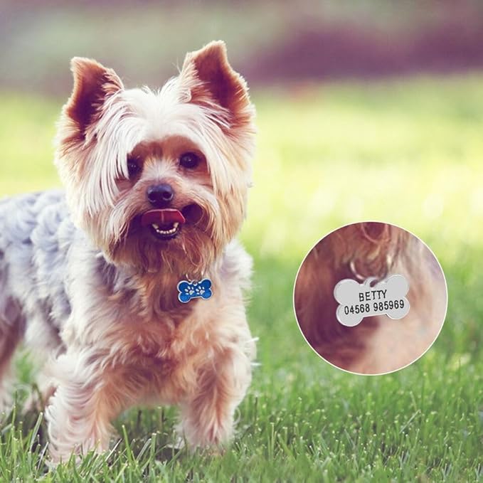 Personalized Dog Cute Paw Pet ID Tag for Pet Collar or Key Chain - Dog Name tag, cat Tags Personalized, cat id tag, Kitten Name tag, Kitten id tag (Bone-Shaped-Small: Rose Red)