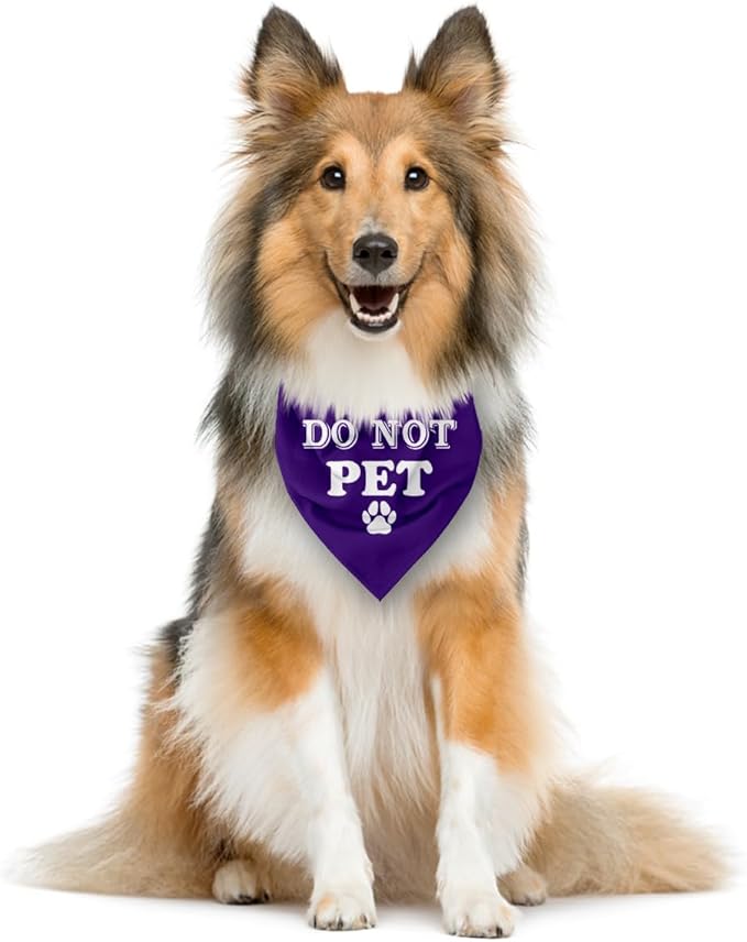 Do Not Pet Dog Bandana, Purple Dog Bandana, Funny Cute Dog Bandana, Pet Dog Triangle Scarf, Pet Dog Scarf Accessories, Gift for Dog Lover, Dog Bandana for Small Medium Large Dogs (E59)