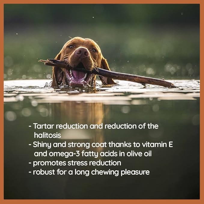 Wildfang® Olive Wood Chewing Sticks for Dogs, Small - Tough Chew Toys for Aggressive Chewers, Puppy Chew Toys for Teething, Training for Chewing Muscles, Olive Wood Stick for Dog (Under 33lbs)