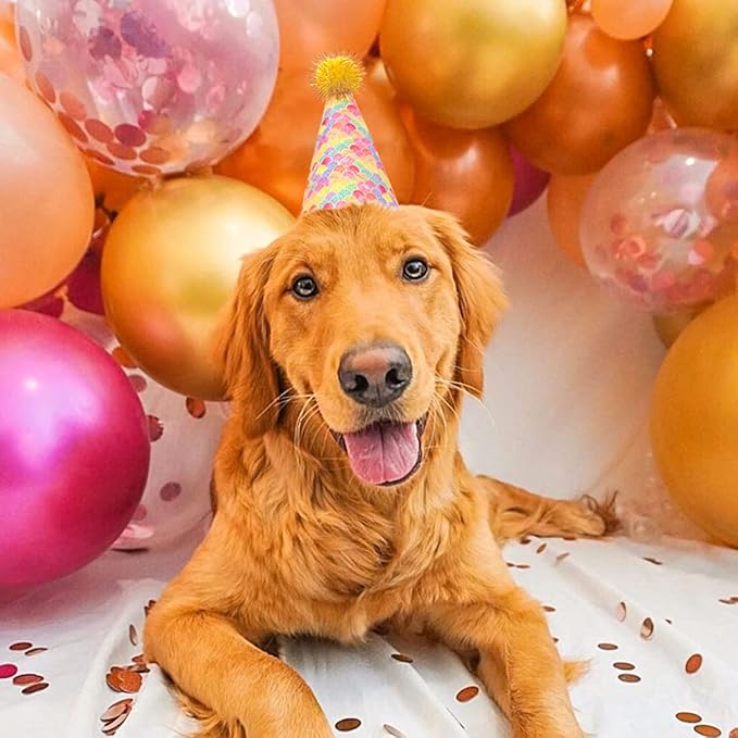 6pcs/Pack Dog Birthday Hat Party Hats Supplies for Small Medium Doggie Puppies Cat Kitten Decorations Grooming Accessories