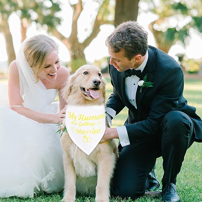 SZEE Wedding Decorations for Pets, 2 Pack My Humans are Getting Married Dog Bandanas, Engagement Party Decorations, Wedding or Engagement Gift for Couples, Dog Wedding Bandanas (Gold, XL)
