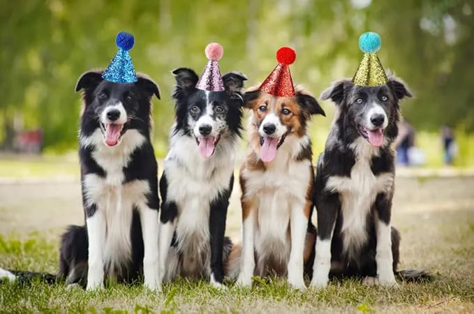 Christmas Pet Party Jazz Hat and Blingbling Bow Tie Breakaway Collar Set, Adjustable Headband for Kitten Puppy Small Dogs Cats (Royal+Red)