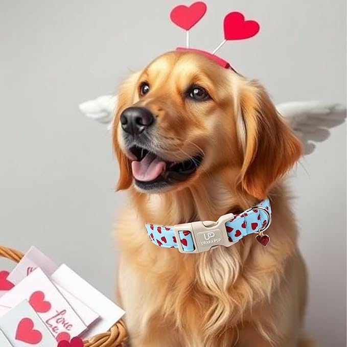 Valentine's Dog Collar, UP URARA PUP Pink Heart Adjustable Pet Collar with Bowknot Charm, Wedding Dog Accessories for Small Medium Large Dogs