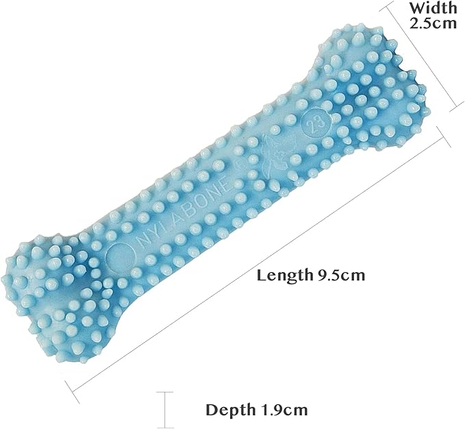 Nylabone Puppy Chew Blue Textured Teething Bone - Chewing Toys for Puppies - Puppy Supplies - Chicken Flavor, X-Small Dogs - Up to 15 Ibs, 1 Count