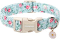 DOGWONG Floral Dog Collar, Cute Adjustable Flower Collar, Girl Female Dog Collar with Strong Plastic Buckle for Small Medium Large Dogs,XL