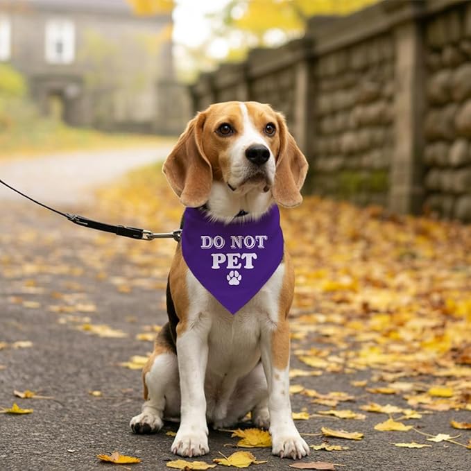 Do Not Pet Dog Bandana, Purple Dog Bandana, Funny Cute Dog Bandana, Pet Dog Triangle Scarf, Pet Dog Scarf Accessories, Gift for Dog Lover, Dog Bandana for Small Medium Large Dogs (E59)