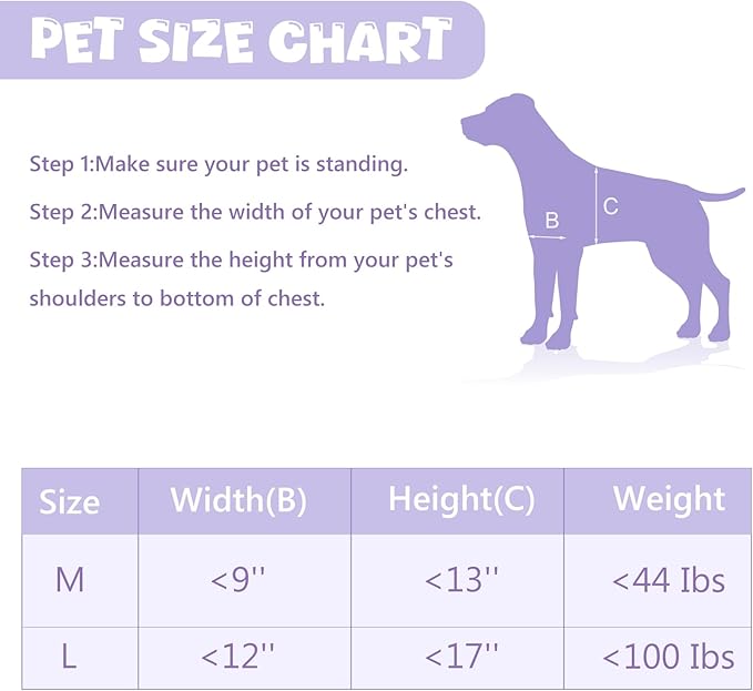 Sliver Pet Door with Panels, Aluminum Dog Door with Automatic Closing Magnetic Flaps, Large Doggie Door, Slide-in Panel & 4 Security Locks, Suitable for Doors, Screen and Wall