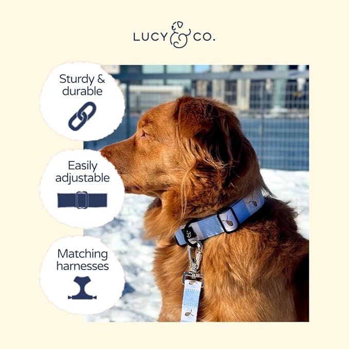 Lucy & Co. Bumbling Around Dog Collar, Adjustable Durable Dog Collar with Cute Print, Small