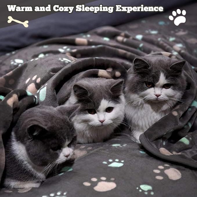 12 Pcs Small Dog Blanket Fleece Puppy Blankets Washable Pet Blankets for Cats Soft Flannel Paw Printed Throw for Guinea Pig Indoor Kittens Doggie (23 X 16 Inch,Dark Gray)