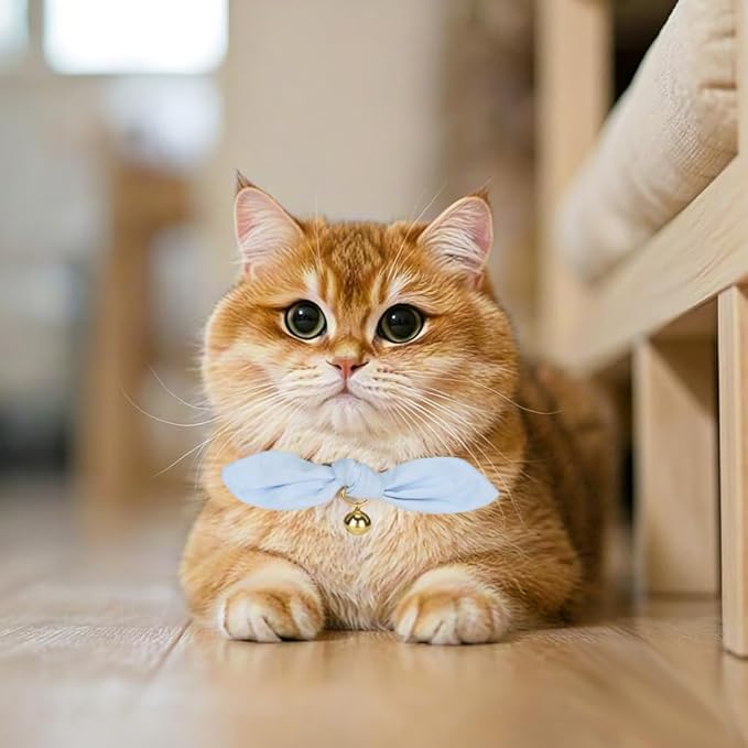 Bunny Ear Cat Collar with Bell and Bow Tie, Breakaway Cute Bowtie Kitten Collars(Blue)