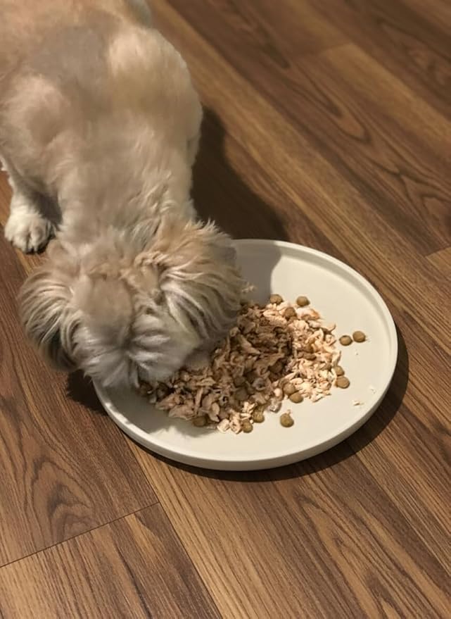 Arespark Cat Food Mat, Set of 2 Nonslip Waterproof Feeding Bowl Silicone Mats with Raised Edges for Food Water Prevent Spills, Round Eating Plates Tray for Dog Cat Puppy Kitten, 8'' x 8''
