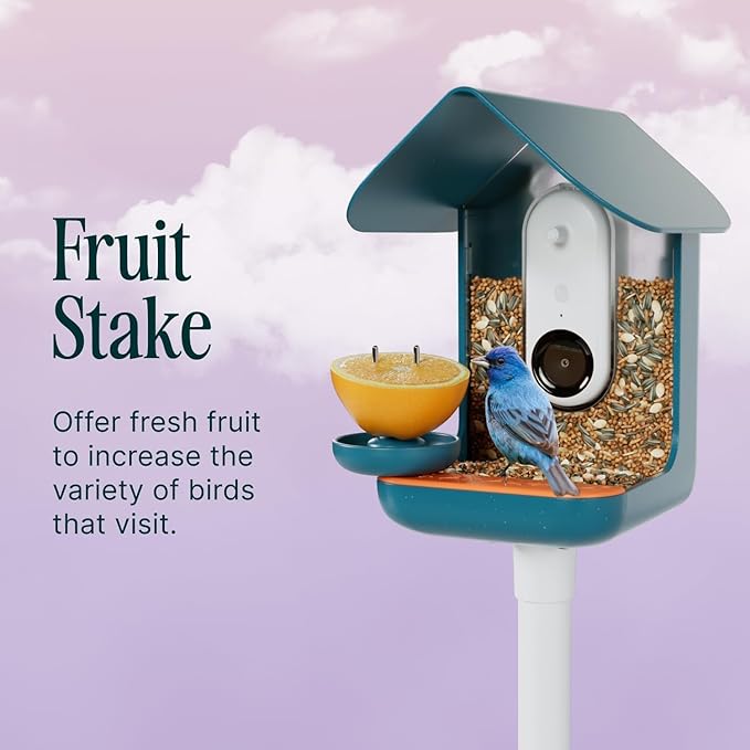 Birdbuddy 3-in-1 Nutrition Set - Outdoor Bird Accessories with Water Fountain, Fruit Spike & Jelly Tray Feeder - Durable, Easy Attachment for Bird House