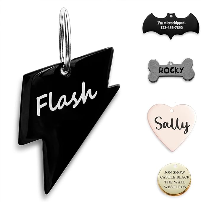 316 Surgical Grade Stainless Steel Personalized Dog & Cat ID Tags - Engraved Name or Text for Pet Collar Accessories, Original Funny Shapes (Lightning)