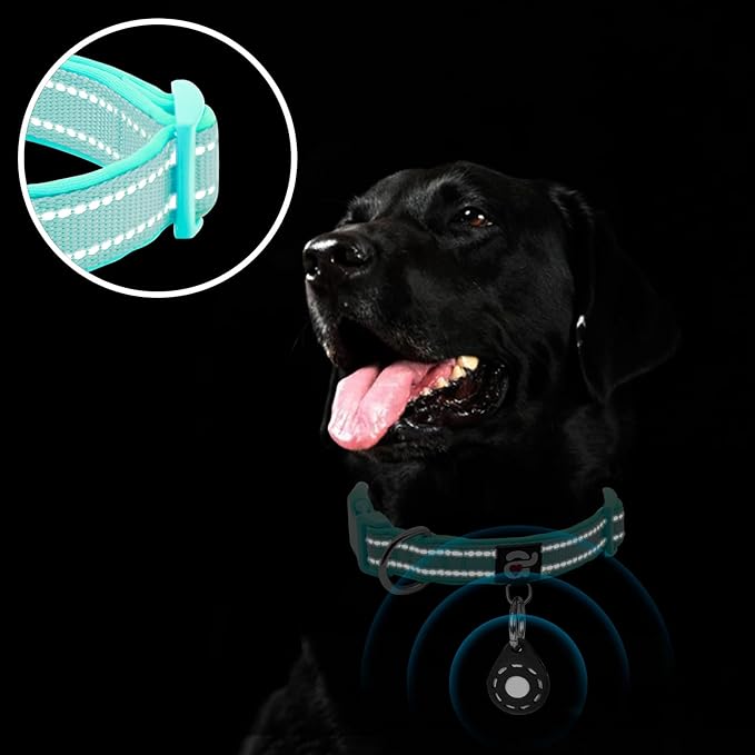 azuza Reflective Dog Collar with Airtag Holder, Soft Neoprene Padded Pet Collar with ID Tag Ring, Adjustable for Medium Dogs,Teal,M