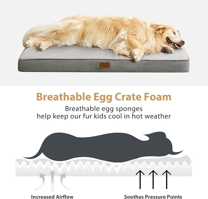 BFPETHOME Outdoor Dog Beds for Large Dogs, Waterproof Dog Bed for Medium, Large, Extra Large Dogs, Orthopedic Dog Bed with Removable Washable Cover, Egg Crate Foam Pet Bed Mat. (54 x 36 in, Grey)
