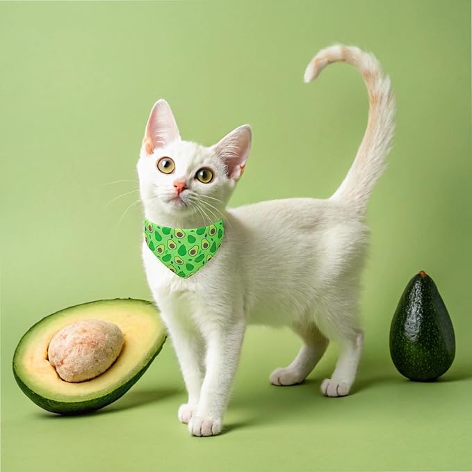 EXPAWLORER Cute Cat Collar Breakaway with Bells - 2 Pack Fruit Adjustable Pet Collar with Removable Bow Tie and Bandana, Safety Buckle for Girl Boy Cats Kitten, Avocado