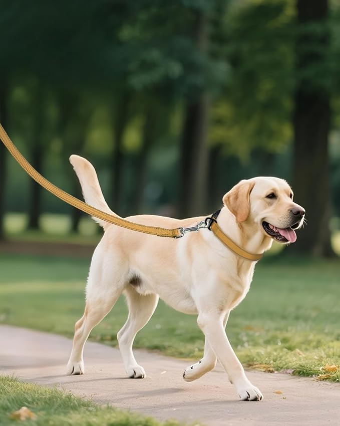 Joytale Large Dog Collar, Reflective and Adjustable Nylon Pet Collar with Quick-Release Buckle for Extra Large Dogs, Khaki, XL