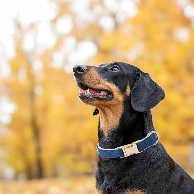 Soft Cotton Hemp Dog Collar with Metal Buckle Adjustable Tweed Dog Collars for Small Medium Large Dogs(Royal Blue,Small)