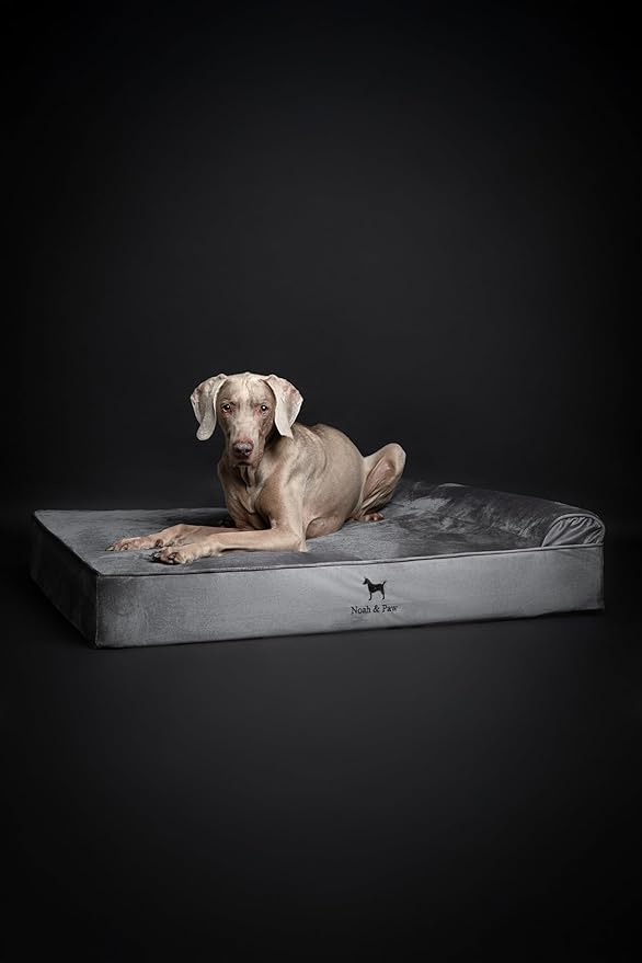 NOAH & PAW XL Dog Bed, 45x35x9.1 Inch, Orthopedic Large Dog Beds, Eggshell Memory Foam Infused with Cooling Gel, Waterproof, Machine Washable, Includes Inner Cover (Velvet Collection)